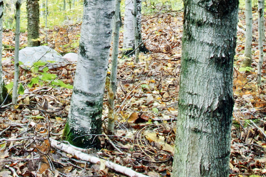 Forest for the Trees by Blake Richardson