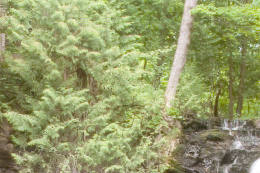 Cascade of Light by Blake Richardson