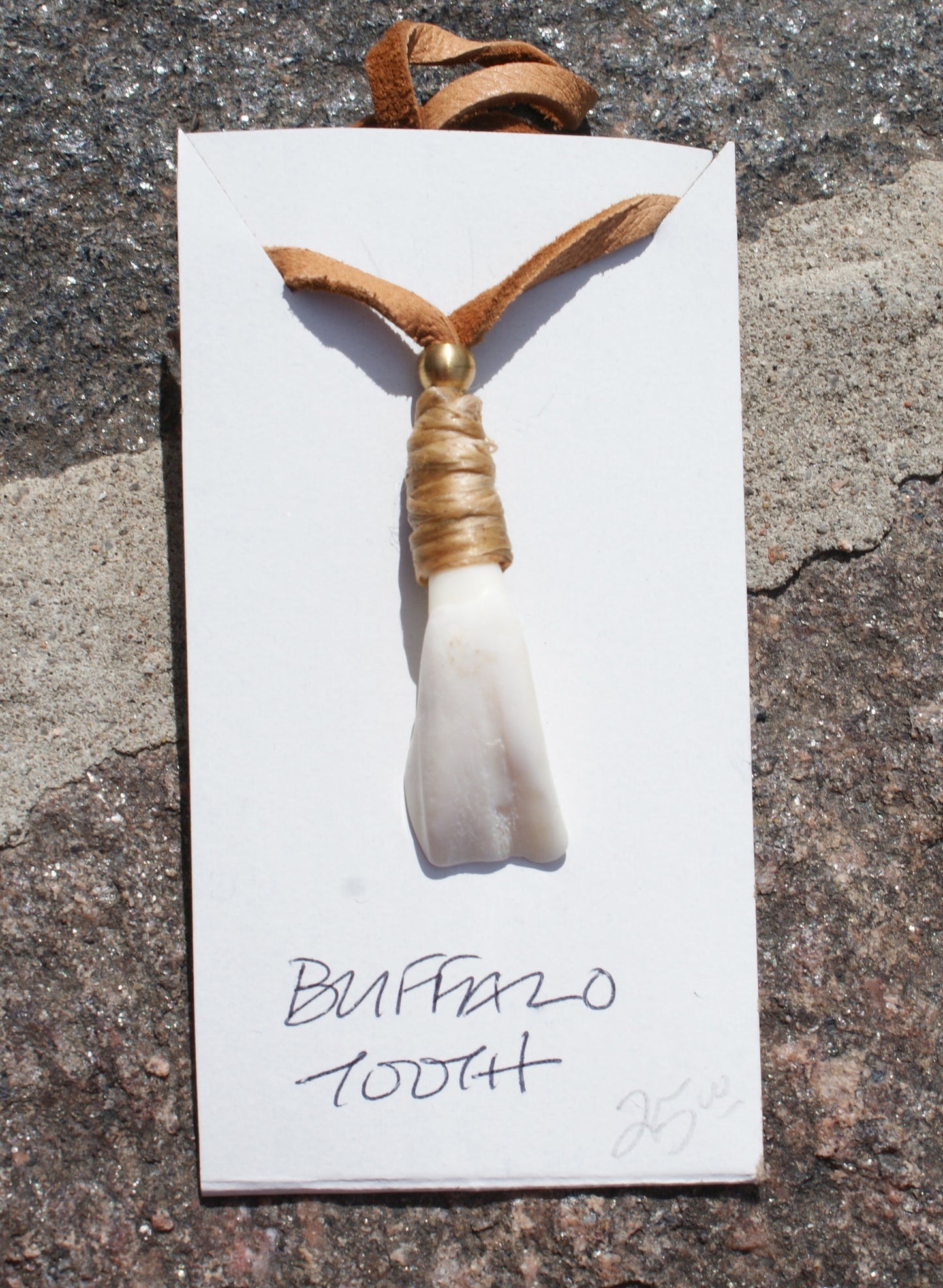 Buffalo Tooth Necklace