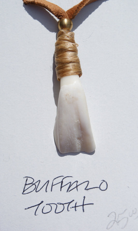 Buffalo Tooth Necklace