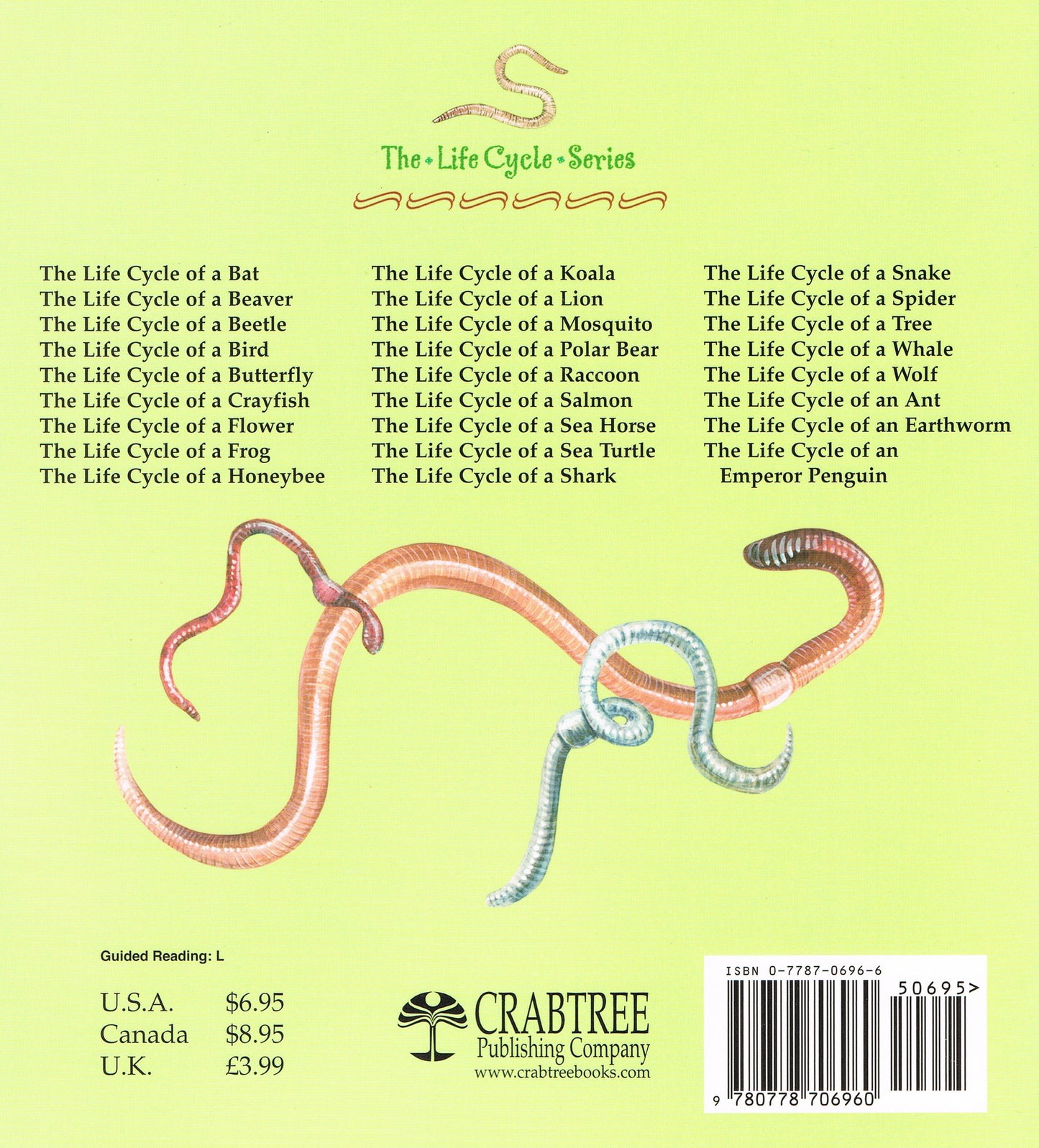 Earth Worm-Life Cycle