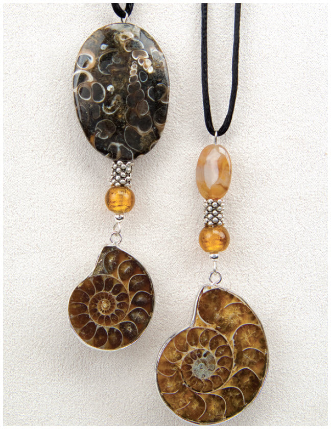 Ammonite Fossil Medicine Stone