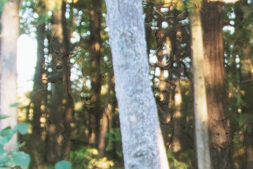 The Other Side by Blake Richardson