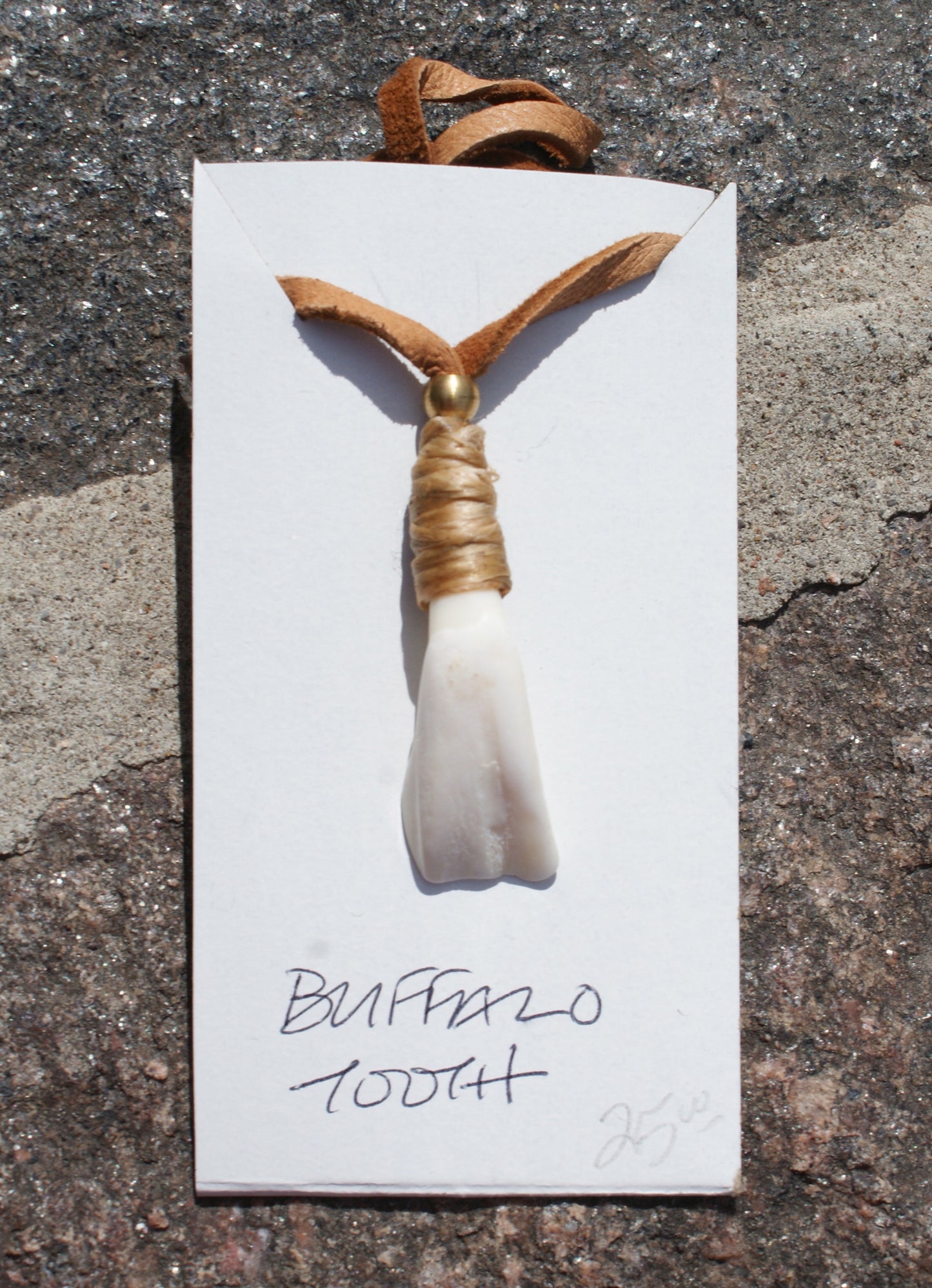 Buffalo Tooth Necklace