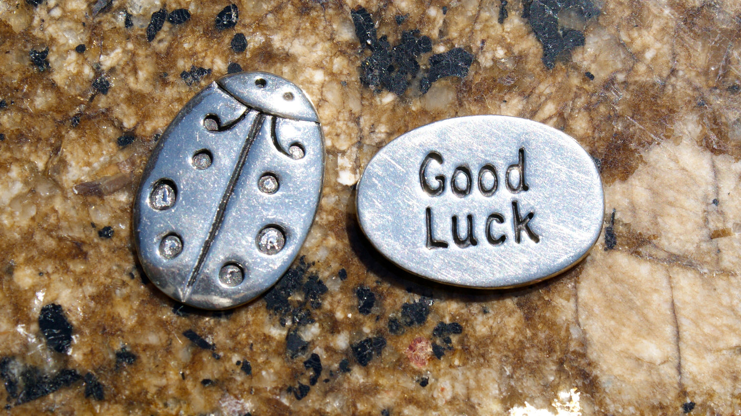 Good Luck Lady Bug Inspirational Coin