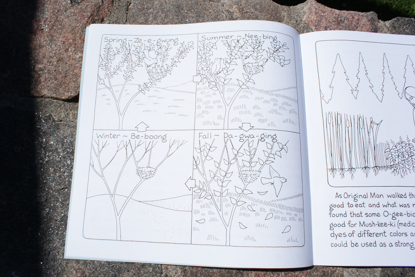 Mishomis Activity/Work Books