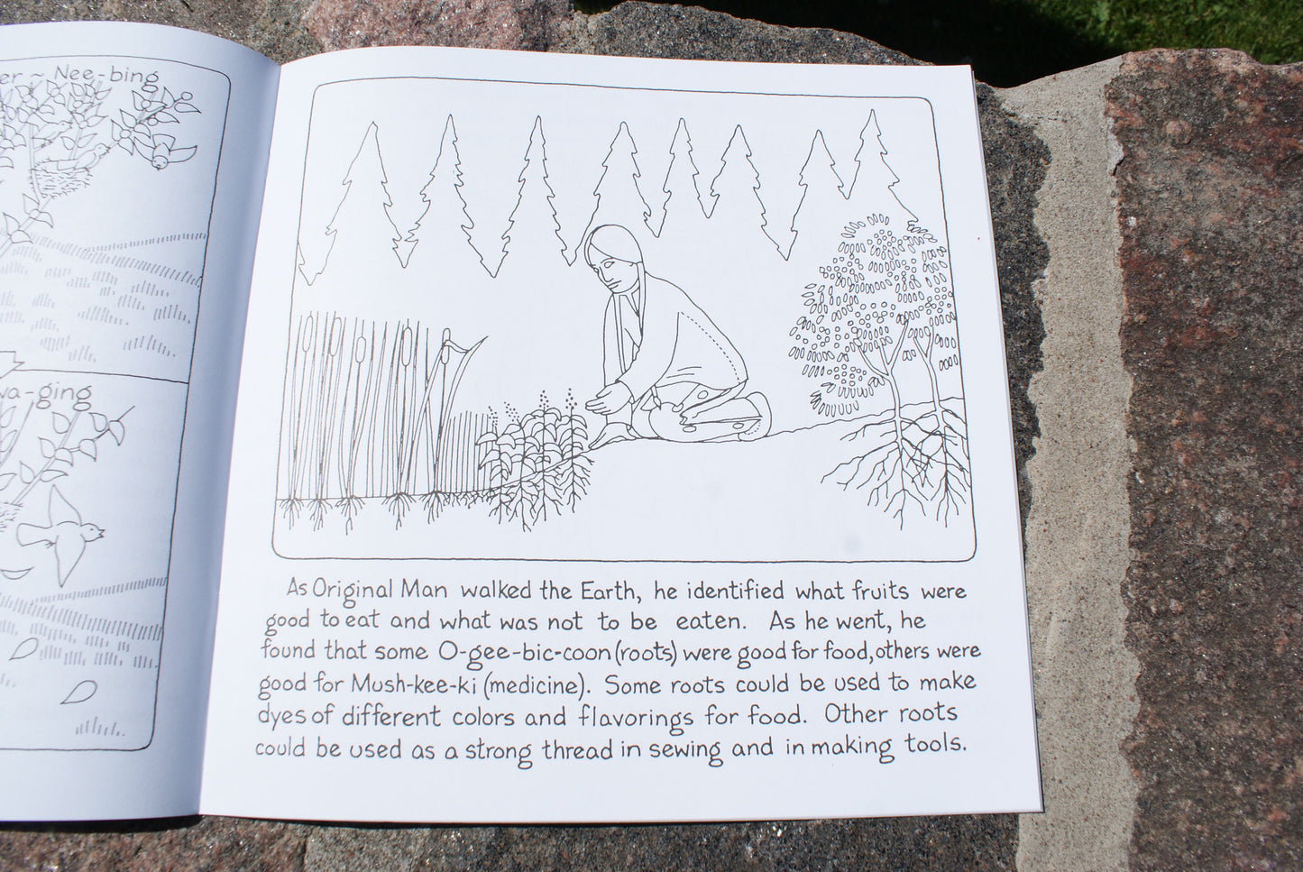 Mishomis Activity/Work Books