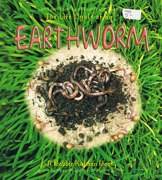 Earth Worm-Life Cycle