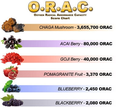 Chaga Grinds